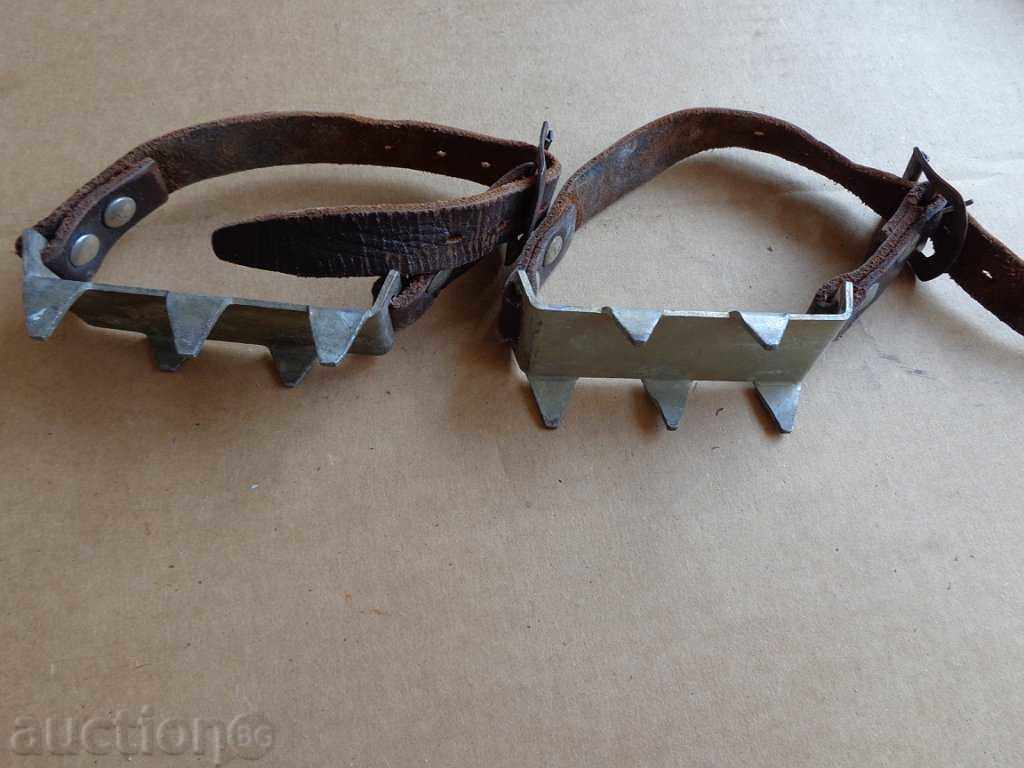 Livrarea pisici Rope turism