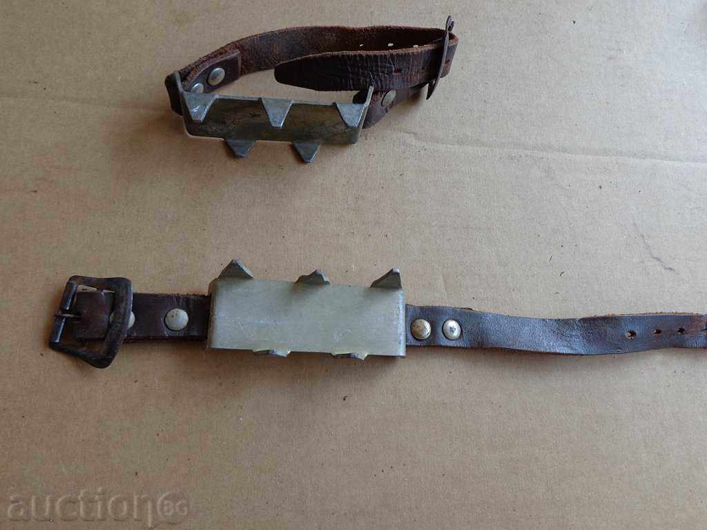 pisici Rope turism - 5