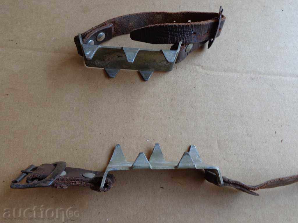 pisici Rope turism - 6