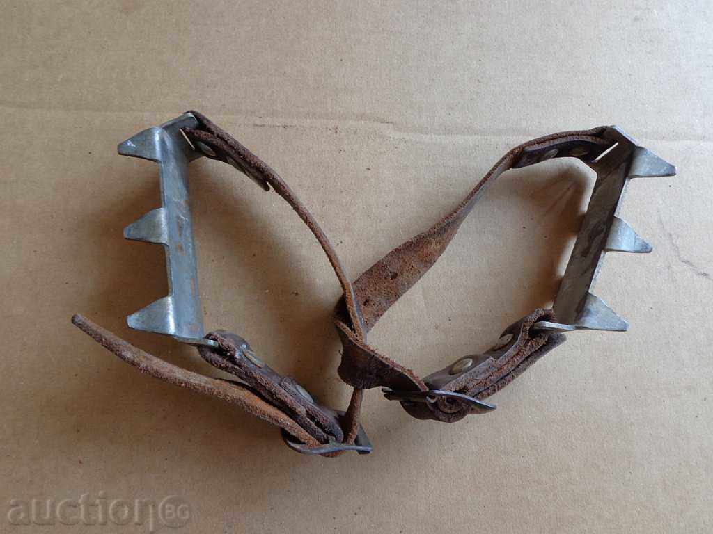 pisici Rope turism - 7