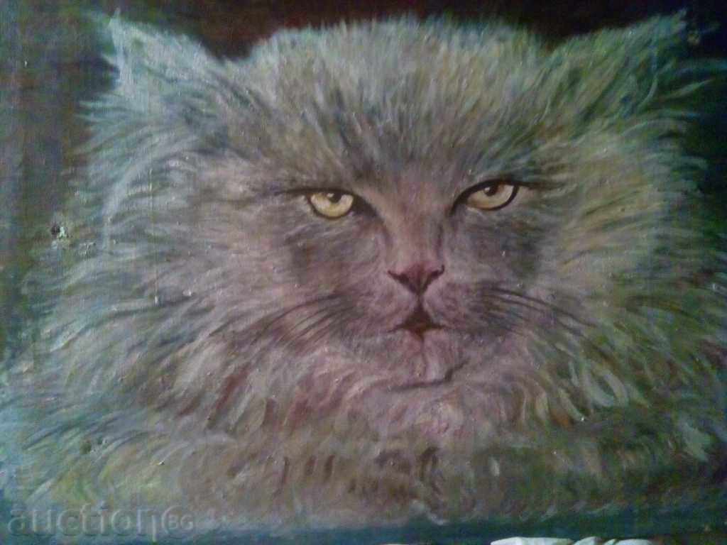 picture - "CAT" with price 40.00 BGN | € 20.45 picture - "CAT" with price 40.00 BGN | € 20.45