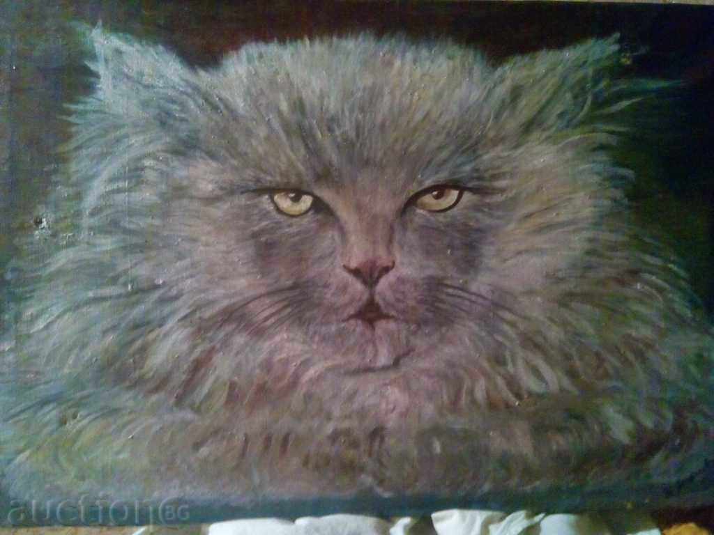 Auction picture - "CAT" Auction picture - "CAT"