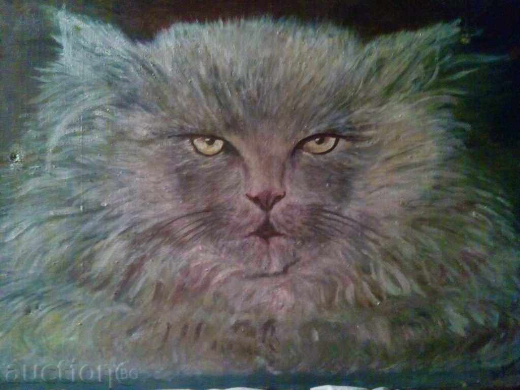 picture - "CAT" - 5 picture - "CAT" - 5