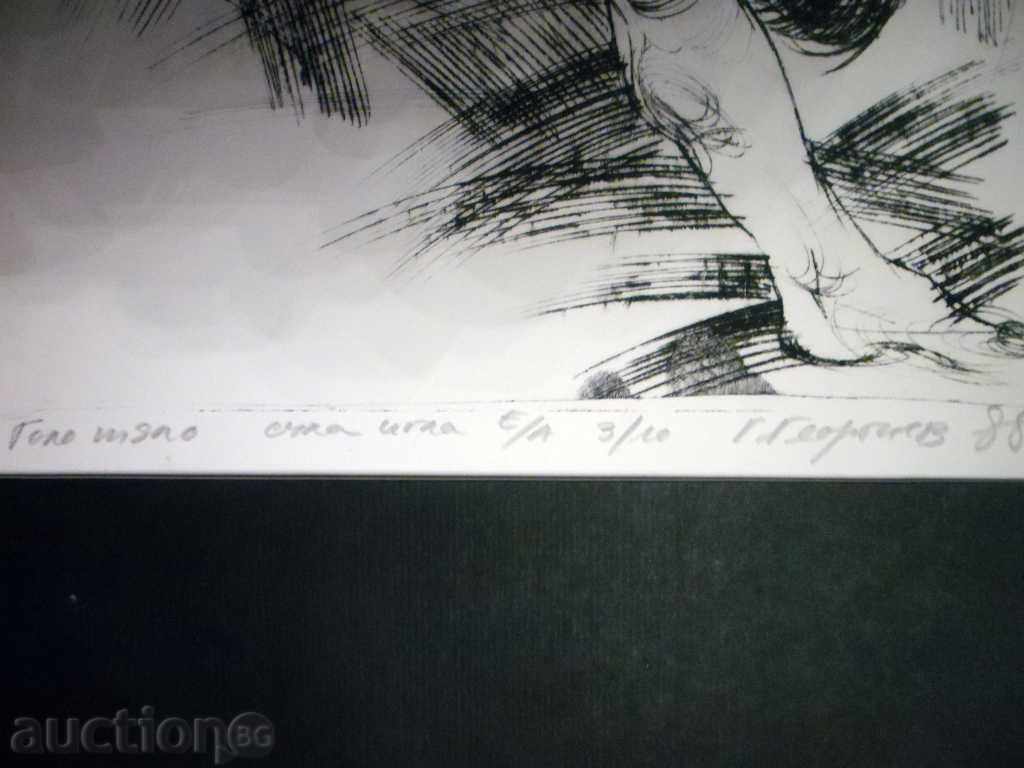 Auction DRY IGLA - BIG BODY - G. GEORGIEV -1988 D --- E / A-3/10 Auction DRY IGLA - BIG BODY - G. GEORGIEV -1988 D --- E / A-3/10