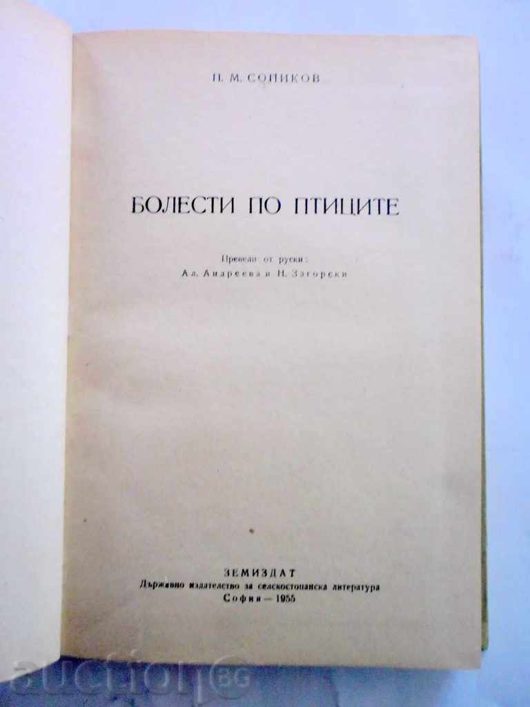 BONDS OF BIRDS with price 15.00 BGN | € 7.67