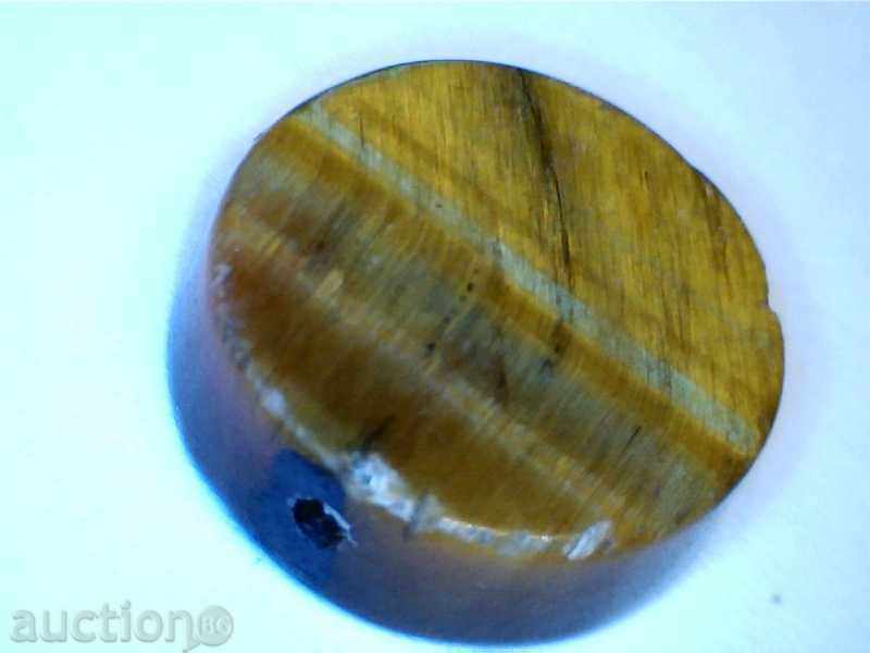 * $ * Y * $ * WORLD TIGER EYE * $ * Y * $ * - 5