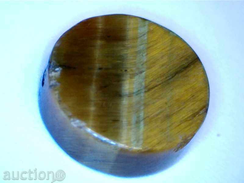 * $ * Y * $ * WORLD TIGER EYE * $ * Y * $ * - 7