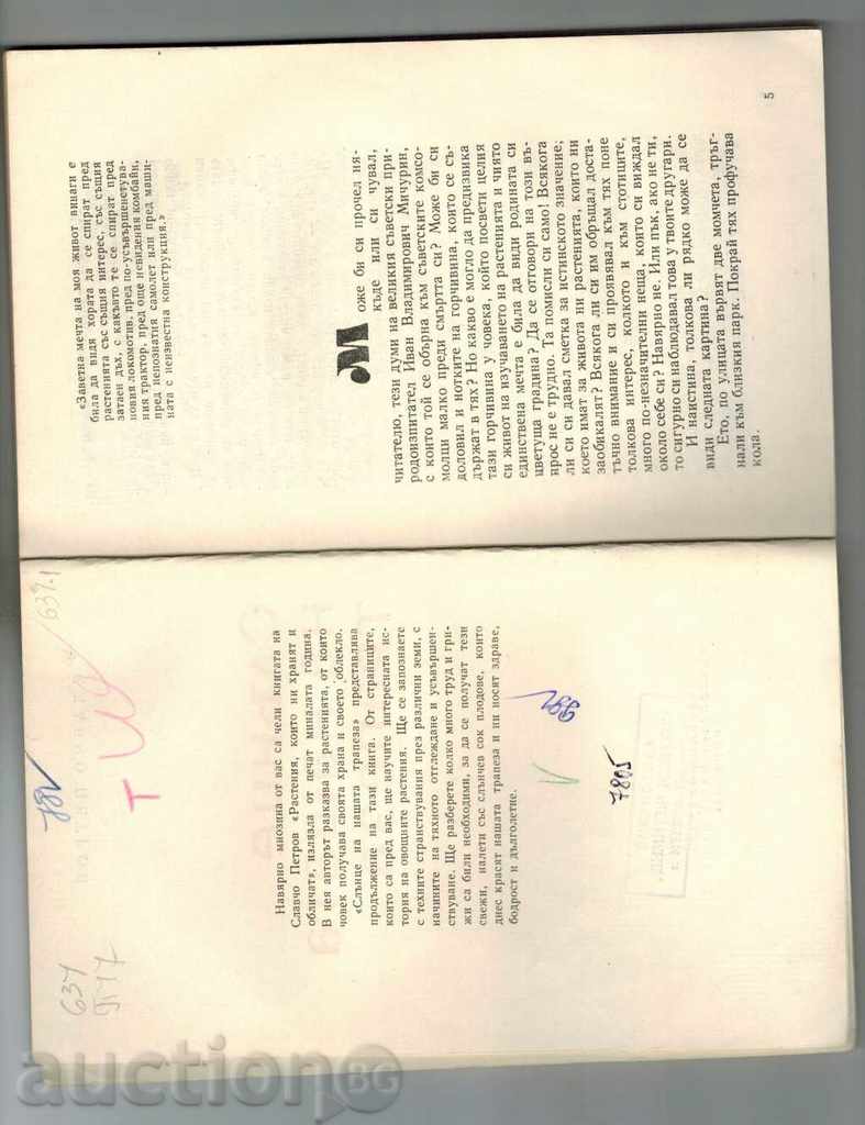 Auction SUN OF OUR BURST - S. PETROV Auction SUN OF OUR BURST - S. PETROV