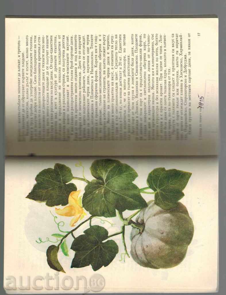 Delivery of SUN OF OUR BURST - S. PETROV Delivery of SUN OF OUR BURST - S. PETROV