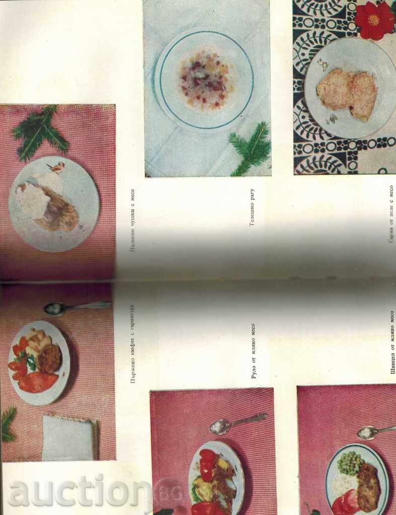 ΚΟΥΖΙΝΑ ΠΑΙΔΙΚΑ - Ο KAMENOVA Κ.Λ.Π. - 5 ΚΟΥΖΙΝΑ ΠΑΙΔΙΚΑ - Ο KAMENOVA Κ.Λ.Π. - 5