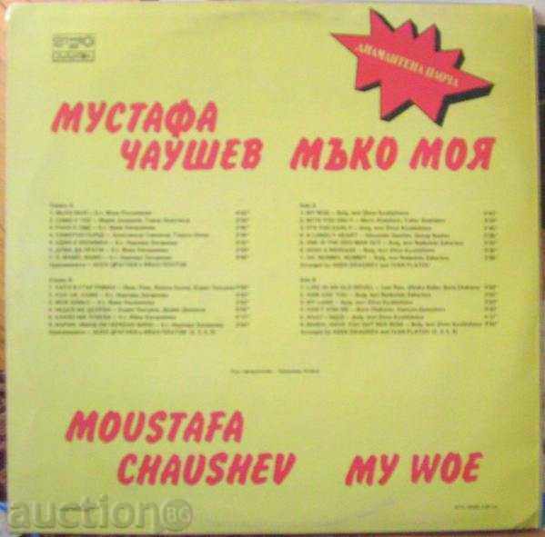 Mustafa Chaushev - My Mouse - № ВТА 12566 with price 50.00 BGN | € 25.56 Mustafa Chaushev - My Mouse - № ВТА 12566 with price 50.00 BGN | € 25.56