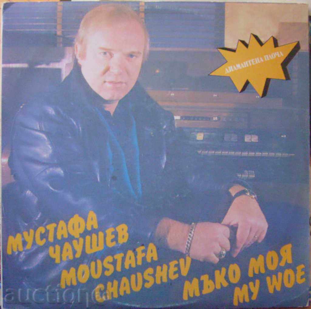 Мустафа Чаушев - Мъко моя - № ВТА 12566