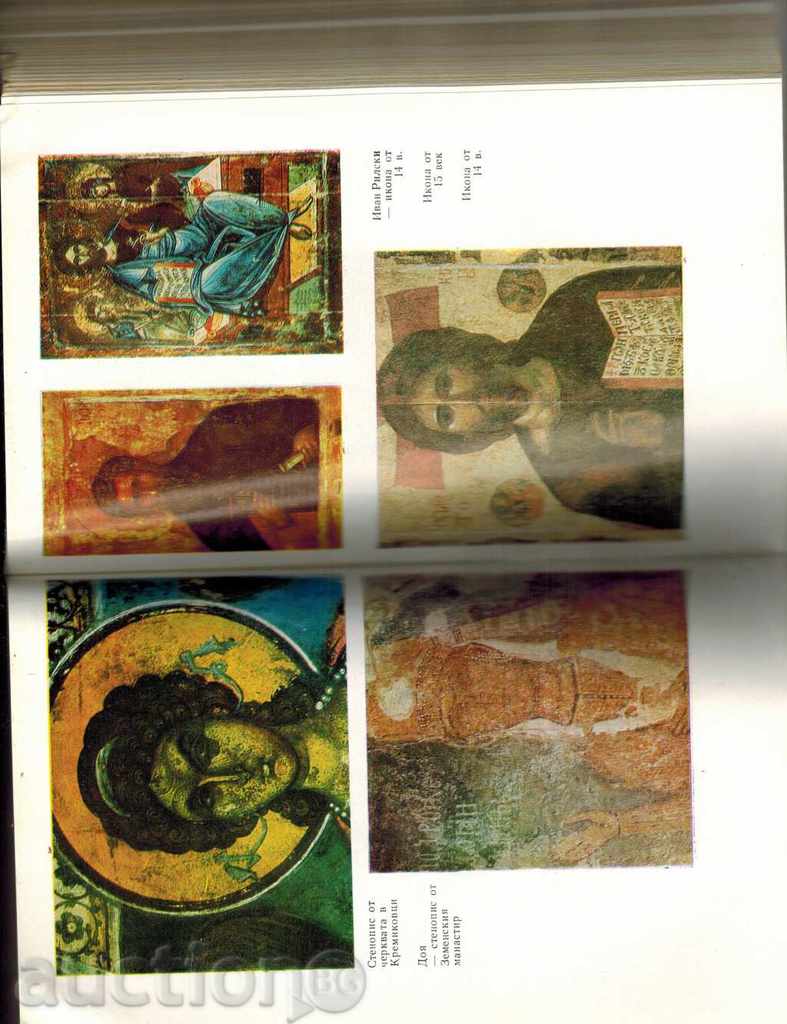 Illustrated. ex. and Architecture ETERNAL GREEN BRANCH-DR.TENEV - 7 Illustrated. ex. and Architecture ETERNAL GREEN BRANCH-DR.TENEV - 7