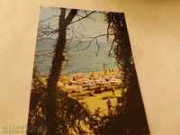 Postcard Varna Resort Druzhba 1986