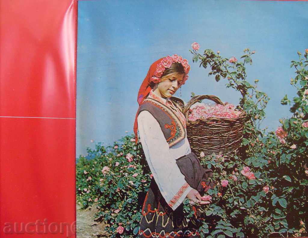 Delivery of Bulgaria - Committee on Recreation and Tourism No. ВАА 1688 / ВОА 1959