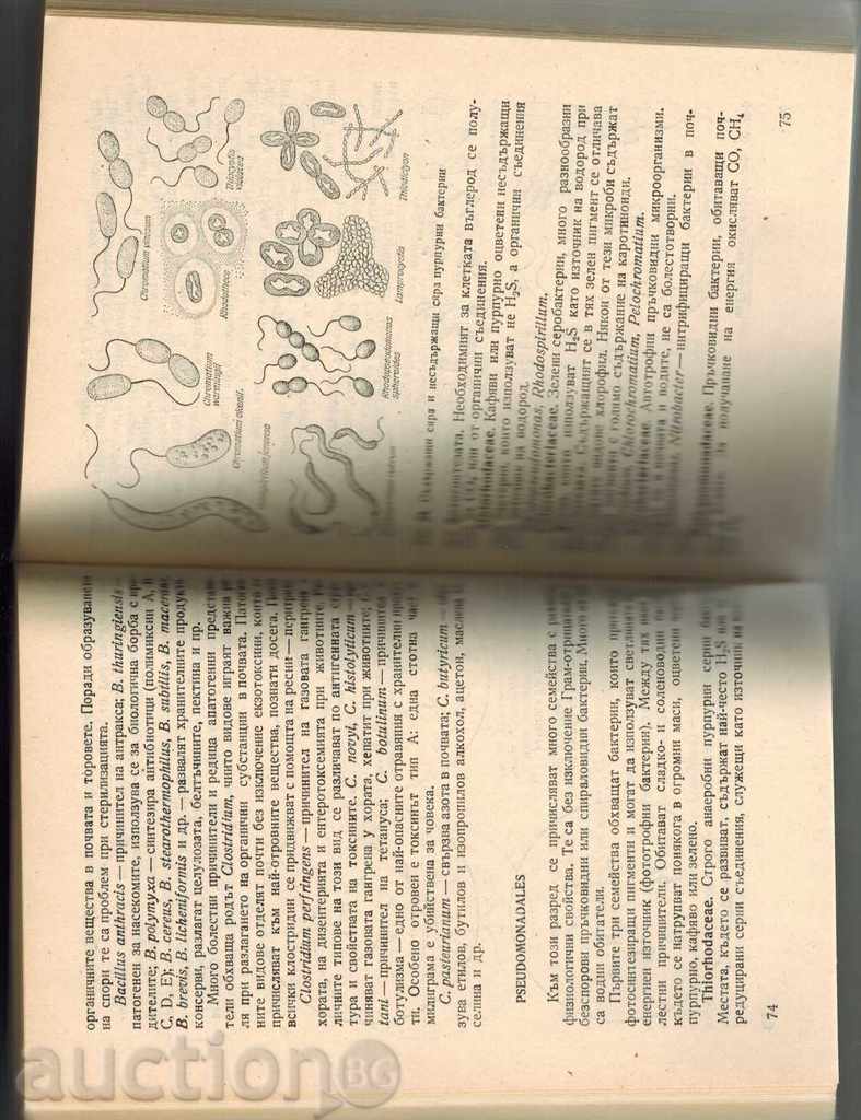 Miliarde Microbi - KURT LINDNER - 7 Miliarde Microbi - KURT LINDNER - 7