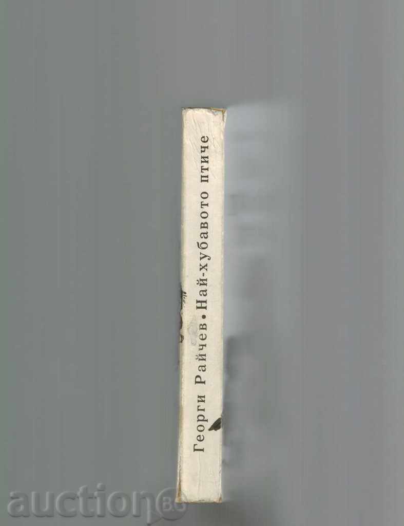 Auction  THE MOUTH BIRTH / TIPS / - GEORGI RAYCHEV