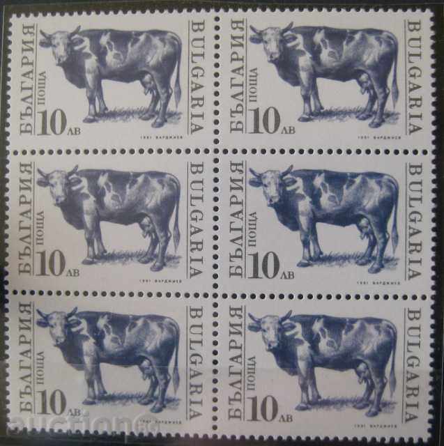 3900-Regular - farm animals II.