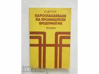Parosnabdyavane των βιομηχανικών επιχειρήσεων - Β Tsvetkov 1981