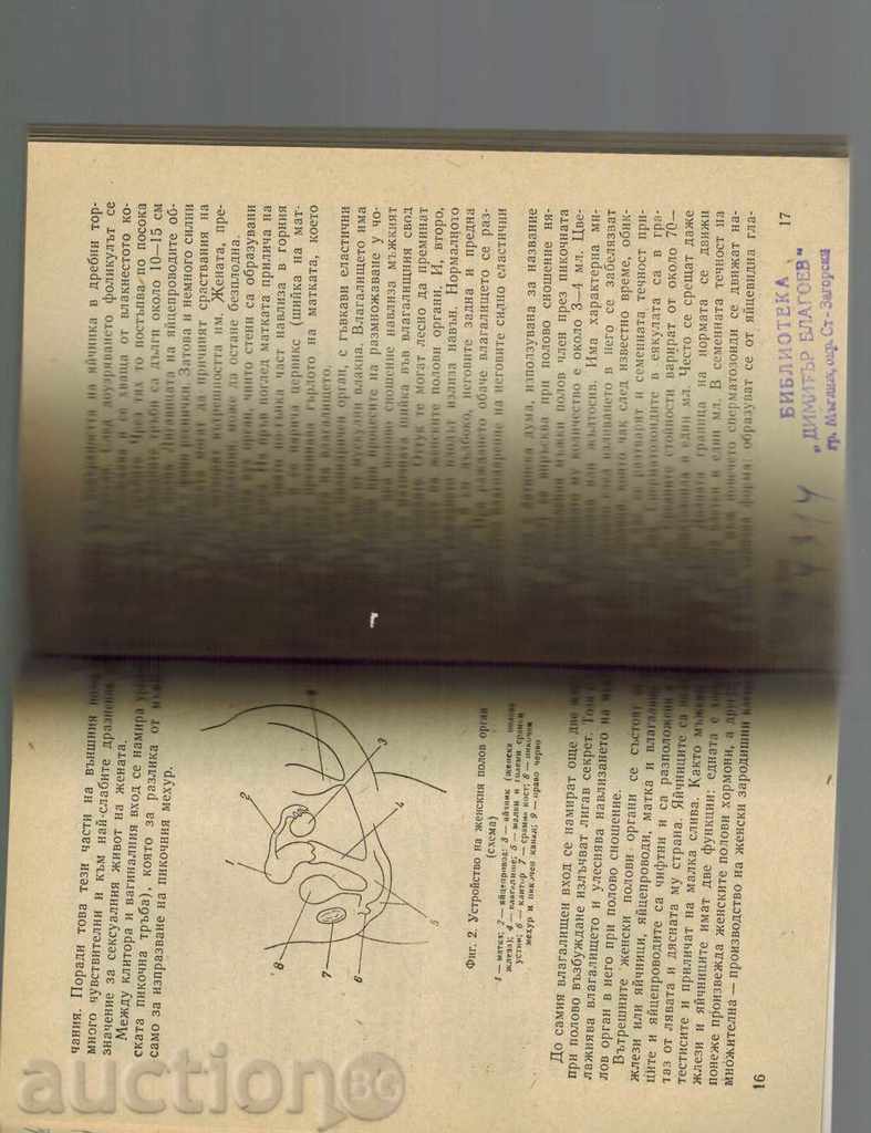 Delivery of BEFORE THE BROTH - V. BARTAK Delivery of BEFORE THE BROTH - V. BARTAK