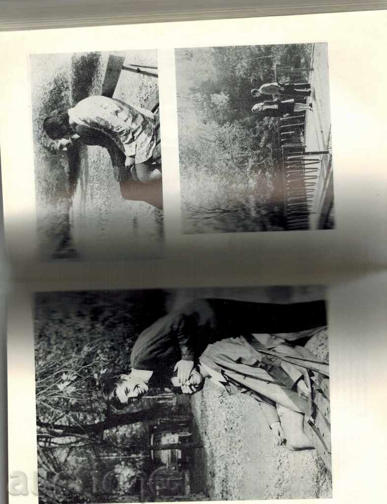 GOLF, BRAK, FAMILY - A. BONEV AND OTHERS. - 5 GOLF, BRAK, FAMILY - A. BONEV AND OTHERS. - 5