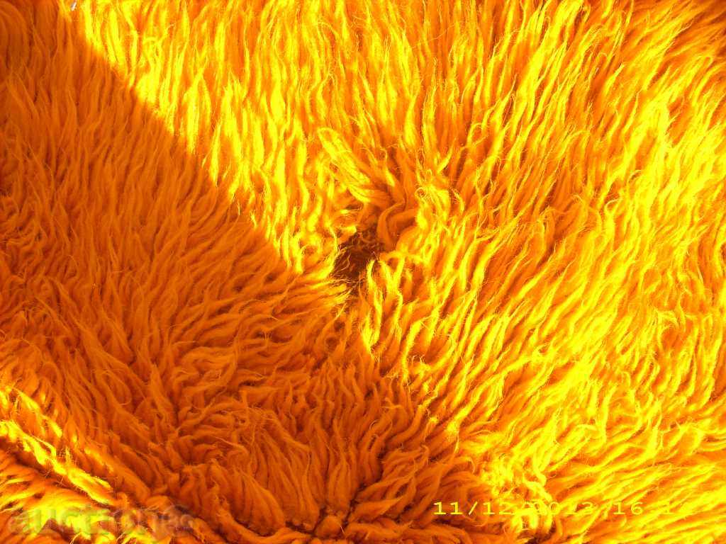 Licitație friză vechi Licitație friză vechi