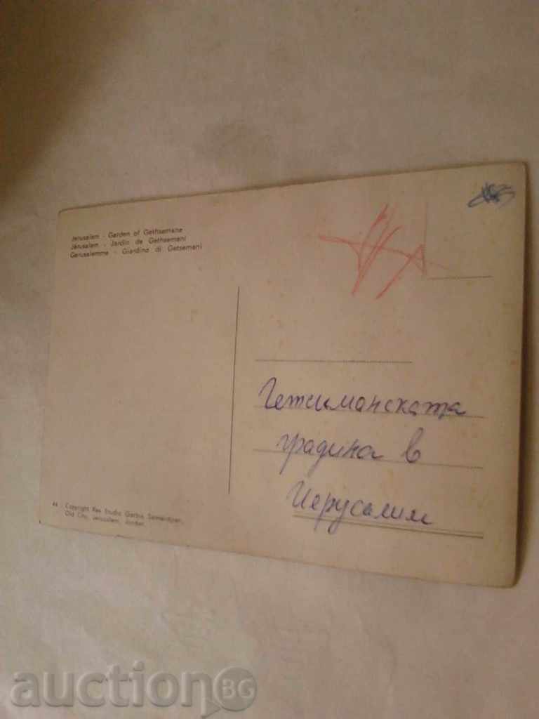 Postcard Jerusalem Garden of Gethsemane with price 0.45 BGN | € 0.23 Postcard Jerusalem Garden of Gethsemane with price 0.45 BGN | € 0.23