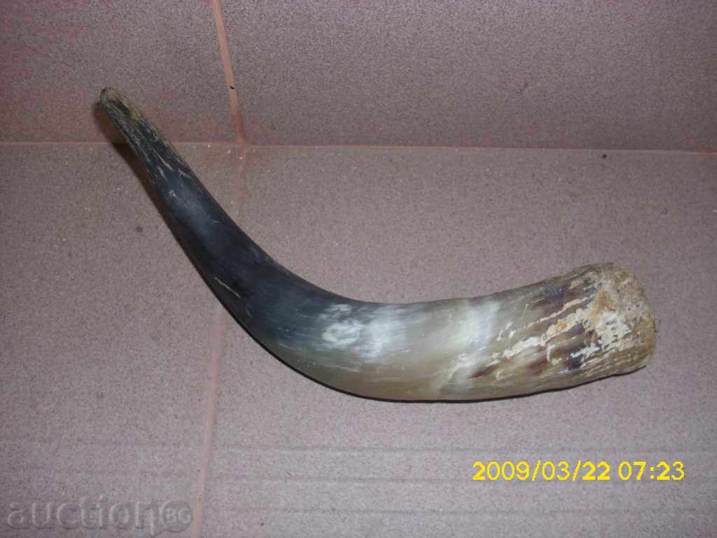 GOR cu preț 20.00 BGN | € 10.23 GOR cu preț 20.00 BGN | € 10.23