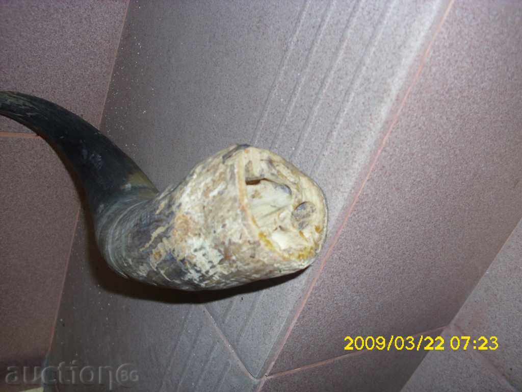 Licitație GOR Licitație GOR