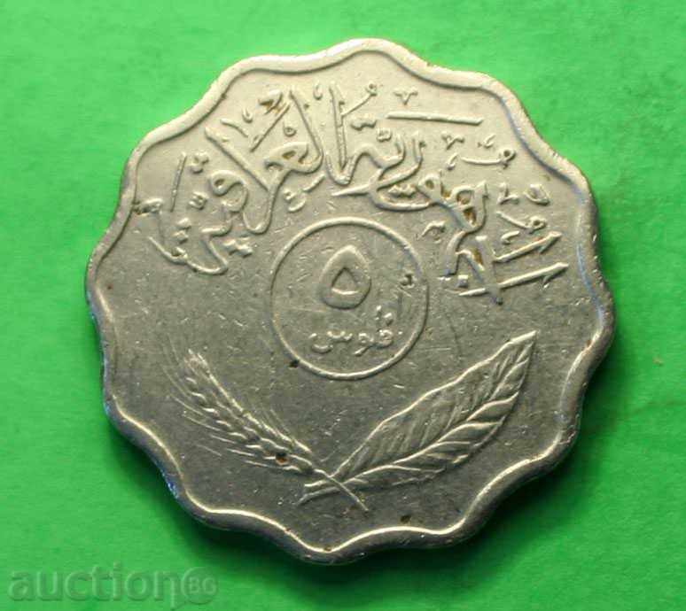 Αραβικά νομίσματος