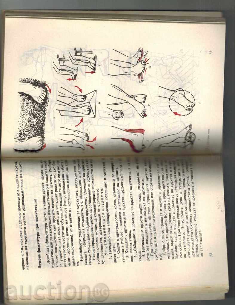 Auction I WANT TO HAVE A HEALTHY KNIGHT - ARTUR JACK Auction I WANT TO HAVE A HEALTHY KNIGHT - ARTUR JACK