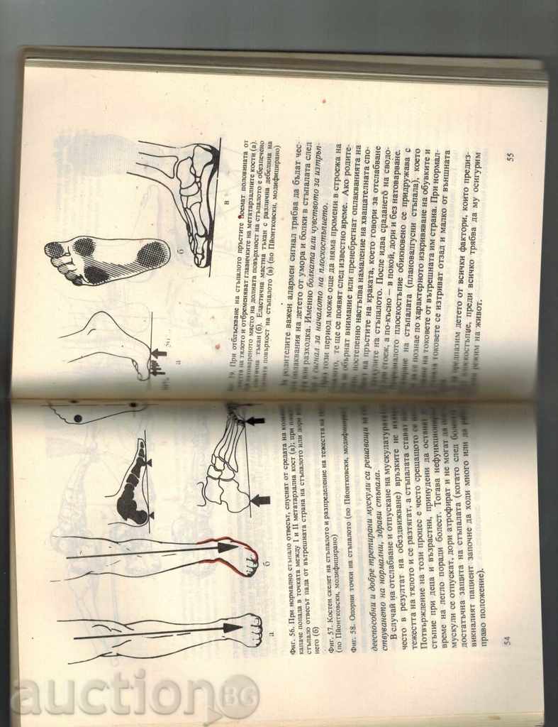 Delivery of I WANT TO HAVE A HEALTHY KNIGHT - ARTUR JACK Delivery of I WANT TO HAVE A HEALTHY KNIGHT - ARTUR JACK