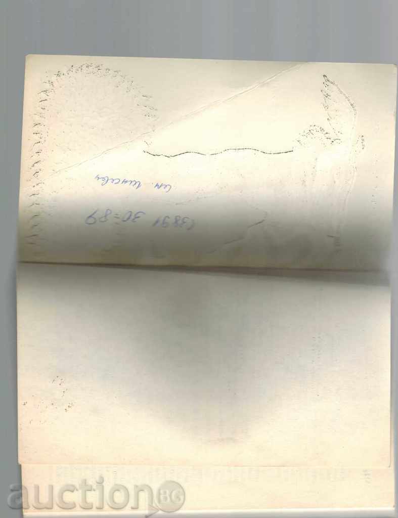 WOMAN IN THE HOUSE / NOVELI / - PENYO YOVCHEV - 5