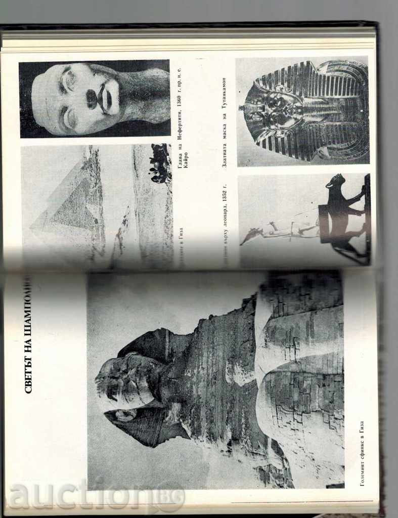 FROM GREEN LIGHTS - VLADIMIR SINTILLA - 5 FROM GREEN LIGHTS - VLADIMIR SINTILLA - 5