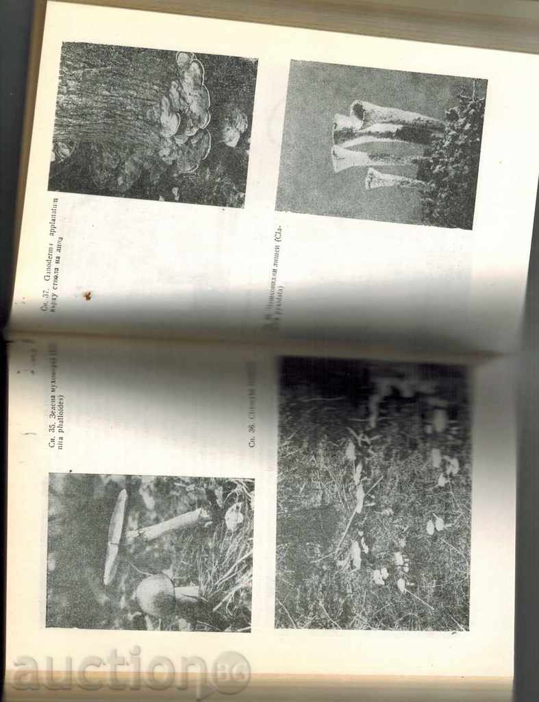 MILARDI MICROBI - KURT LINDDER - 6 MILARDI MICROBI - KURT LINDDER - 6