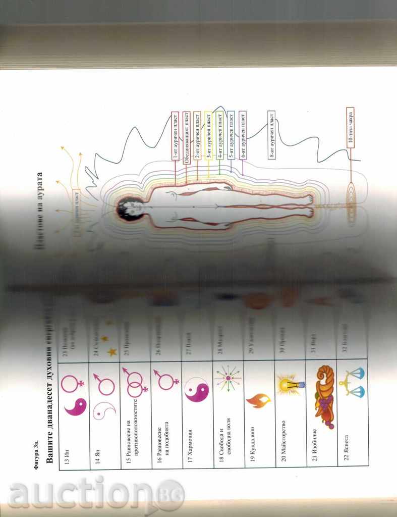 Auction TREATMENT WITH CHAKRES - SINDY DEAL Auction TREATMENT WITH CHAKRES - SINDY DEAL