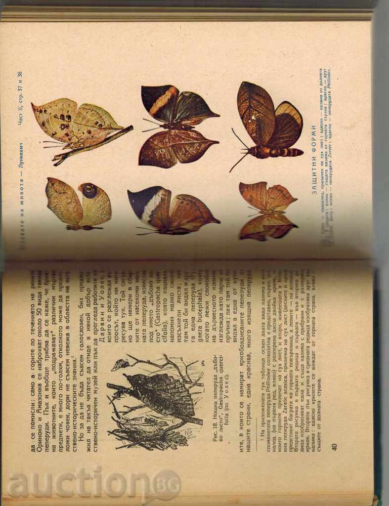 Delivery of FOUNDATIONS OF LIFE 2-ORGANISM AND ENVIRONMENT - V. LUNKEVICH 1950