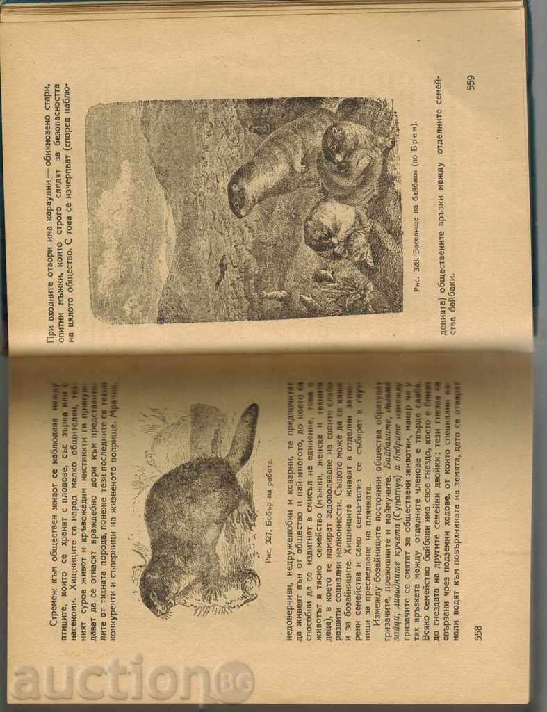 FOUNDATIONS OF LIFE 2-ORGANISM AND ENVIRONMENT - V. LUNKEVICH 1950 - 5