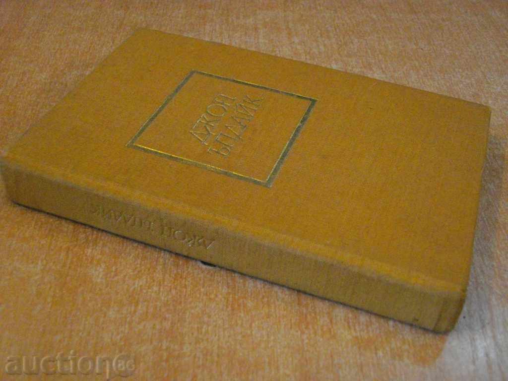 Delivery of Book Tasks - John Updike - 352 pages