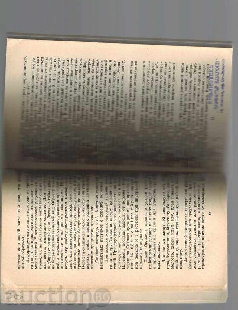 Delivery of PLANTS ABOUT OUR HOME - H. DEVOCHKINA Delivery of PLANTS ABOUT OUR HOME - H. DEVOCHKINA