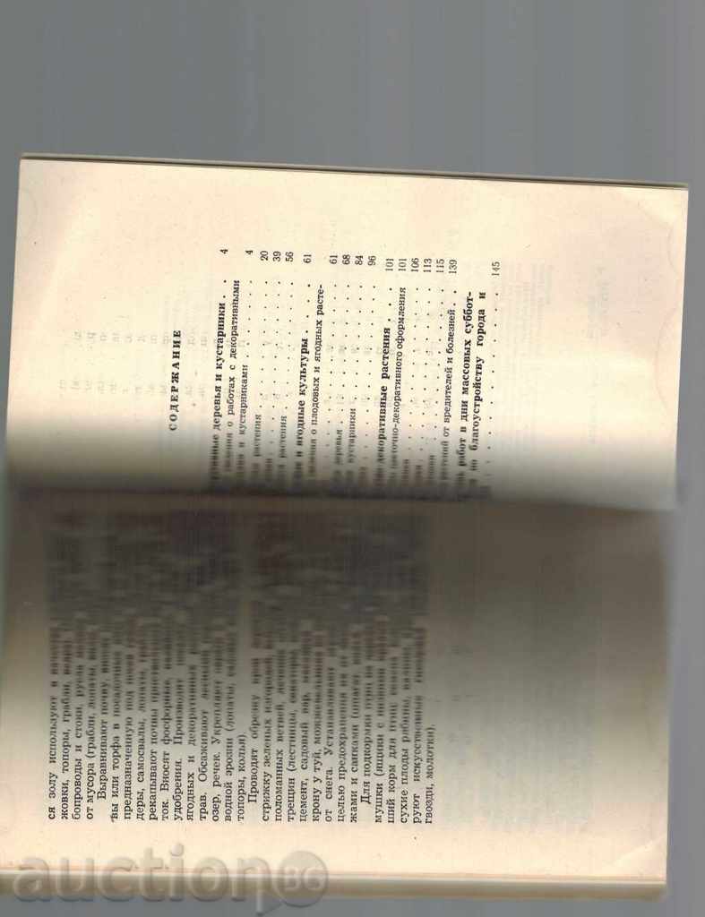 PLANTS ABOUT OUR HOME - H. DEVOCHKINA - 6 PLANTS ABOUT OUR HOME - H. DEVOCHKINA - 6