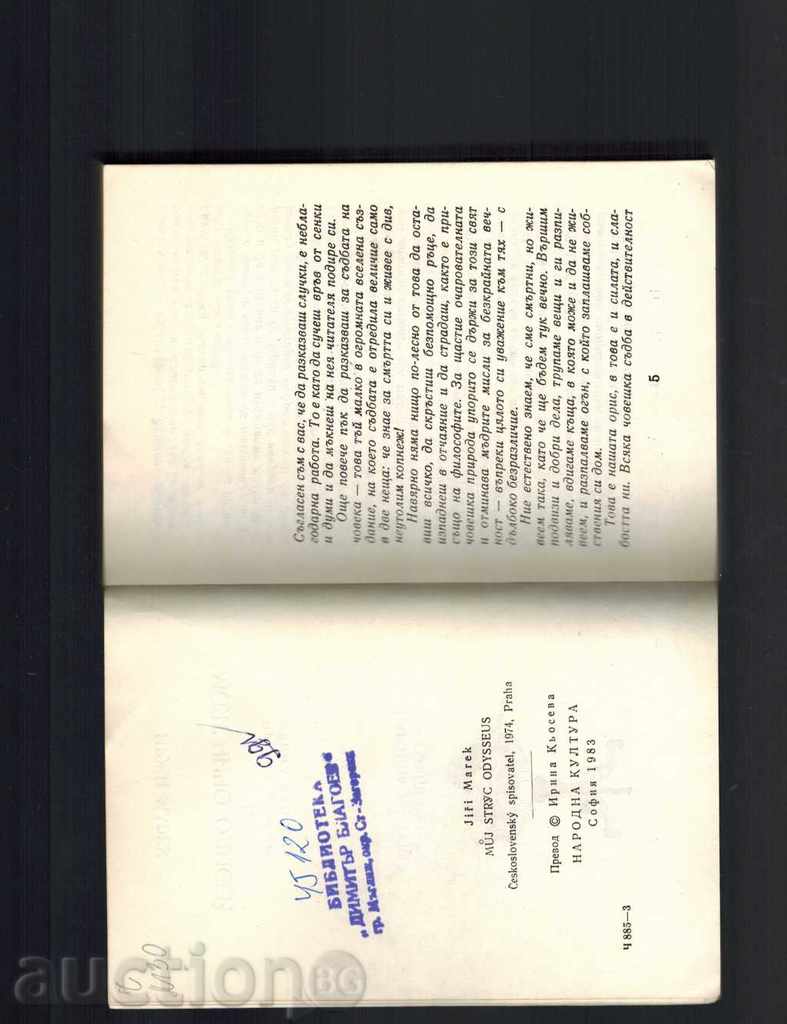 Auction MY CHICO ODISEY - IRGE MAREC Auction MY CHICO ODISEY - IRGE MAREC