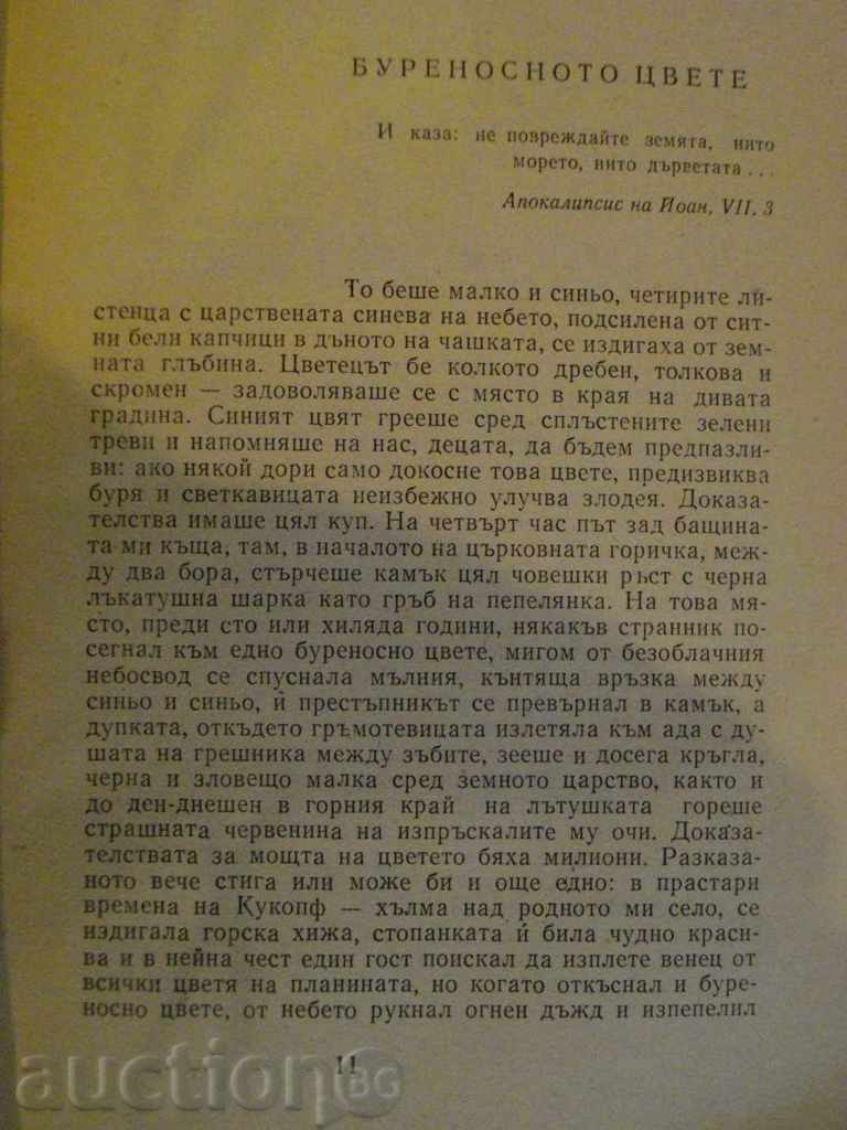 Delivery of The book "The Island of Dreams - Franz Fuuman" - 240 pages