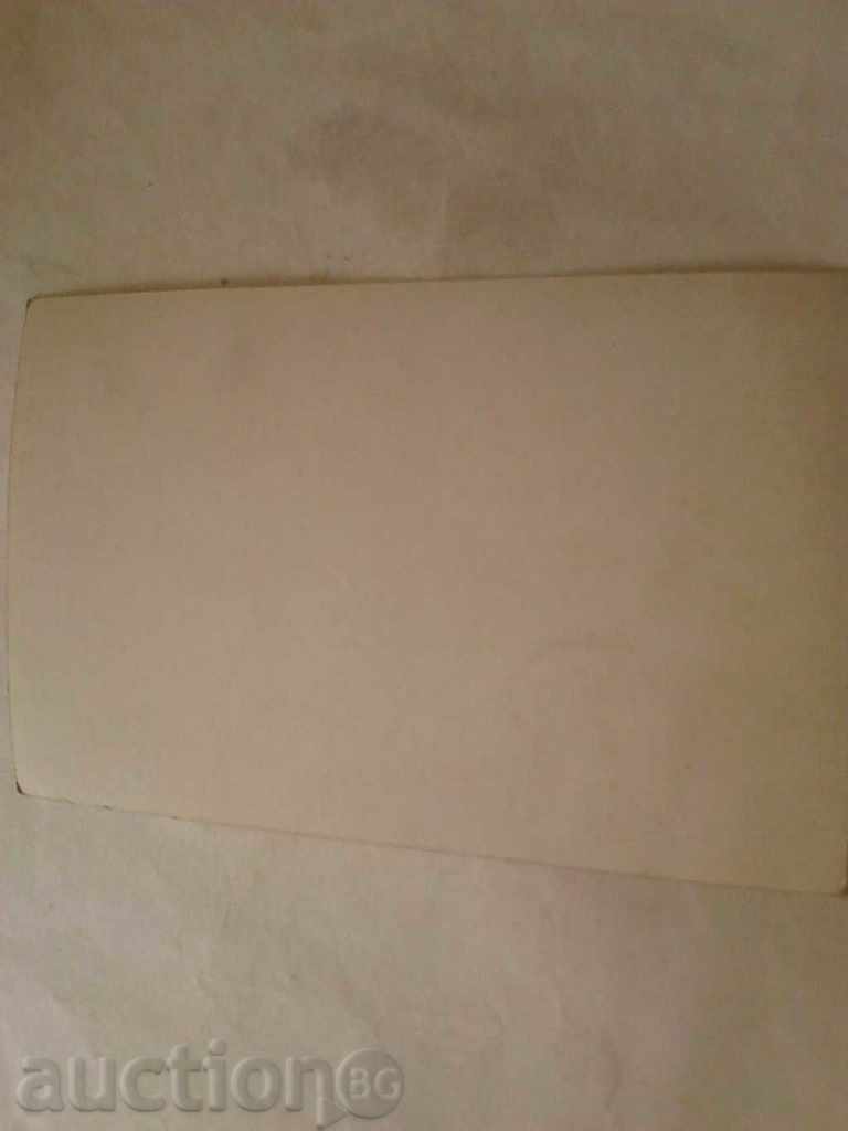 Postcard Marina Vlady with price 0.45 BGN | € 0.23 Postcard Marina Vlady with price 0.45 BGN | € 0.23