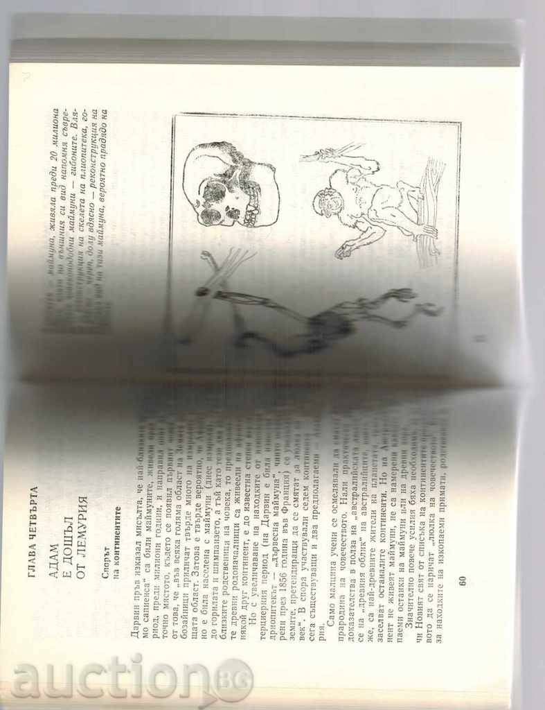 ADDRESS - LEMURIA? - ALEXANDER Kondratov - 6