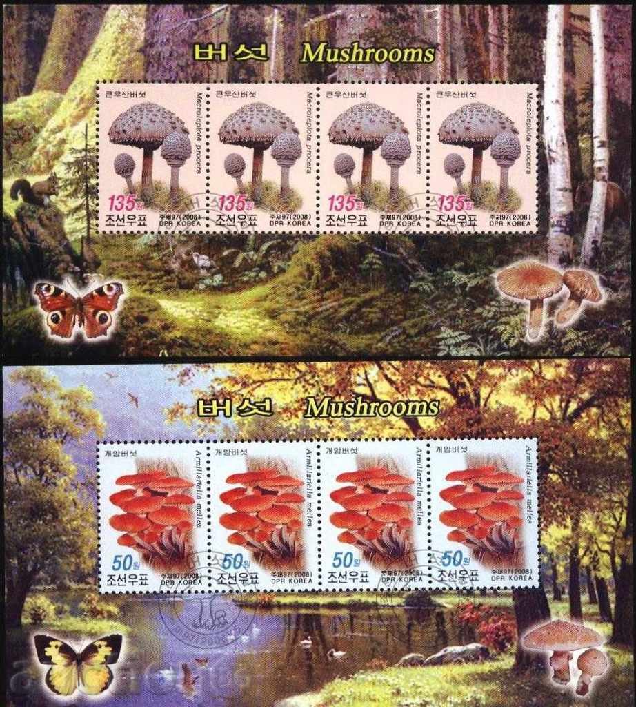 Kleymovani blocuri Ciuperci 2008 de către Coreea de Nord cu preț 20.00 BGN | € 10.23 Kleymovani blocuri Ciuperci 2008 de către Coreea de Nord cu preț 20.00 BGN | € 10.23