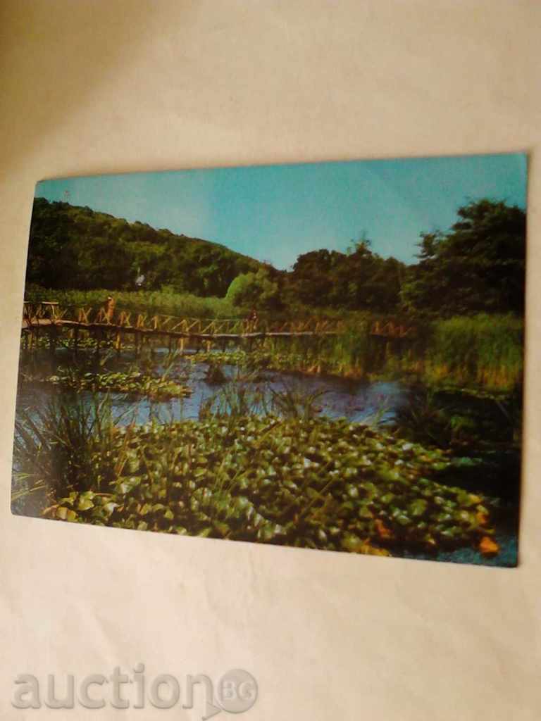 Пощенска картичка Аркутино Водни лилии 1971
