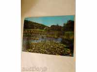 Пощенска картичка Аркутино Водни лилии 1971