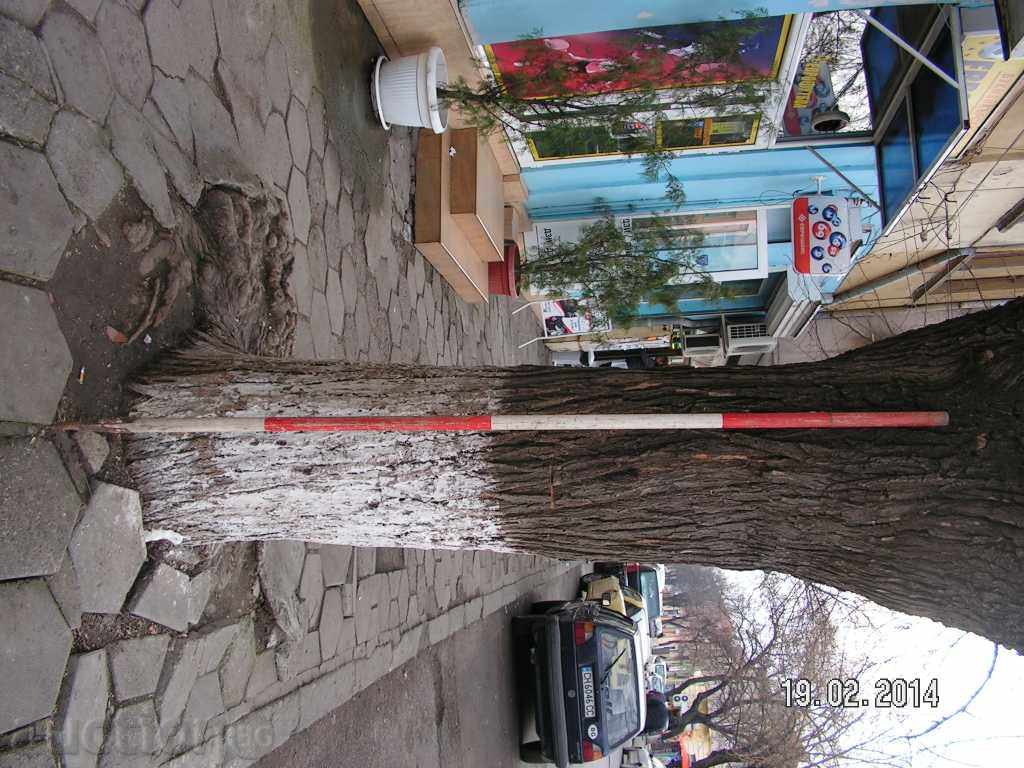 2279. ARCHAEOLOGICAL WATCH FROM SOCKS with price 8.00 BGN | € 4.09 2279. ARCHAEOLOGICAL WATCH FROM SOCKS with price 8.00 BGN | € 4.09