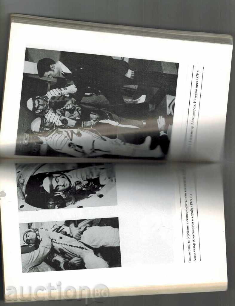 Auction  ROSE AFTER THE STARS - SERAFIM SEVERNIAC